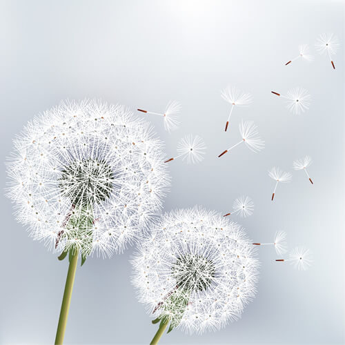 Glerups,Glerups tøfler,historie